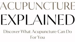 Acupuncture Explained