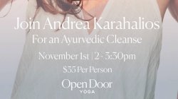 The Cleanse