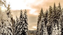 Silent Night; A Winter Solstice Celebration