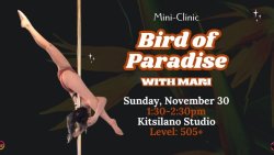Mini Clinic: Bird of Paradise with Mari