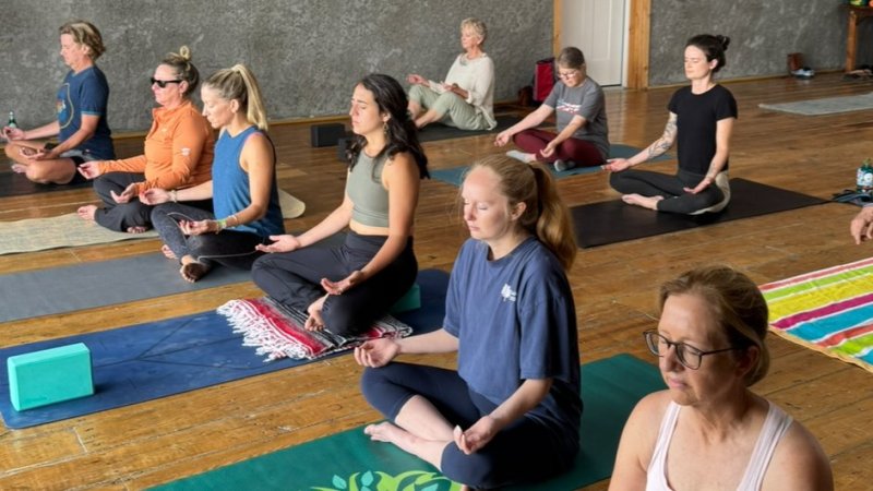 Gentle Align and Flow