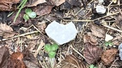 Zoom Nervous System Reset: Ayurvedic & Asana Tips to Pacify Irritated Nerves (Vata Imbalance)