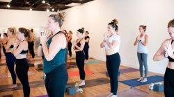 200 Hour Yoga Teacher Training 2026