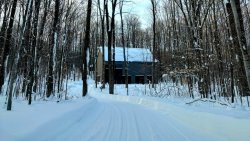 Rooted in Rememberance: Winter Retreat for Grief (Sunday, February 8th)