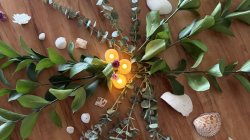 Kirtan: Members Only