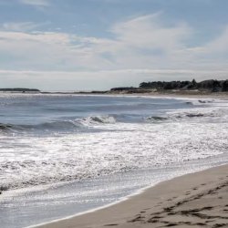 A Winter Ocean Retreat- Private Queen with view accomodations for 2 people