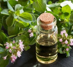 Essential Oils 5ml Various