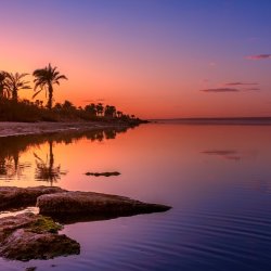 Law of Attraction Class