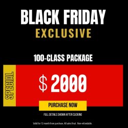 BLACK FRIDAY EXCLUSIVE