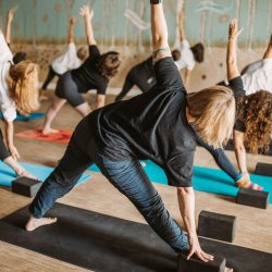 2026 Beginner Yoga Series