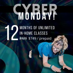 SALE! Cyber Monday - 12-Month Unlimited (In-Home)