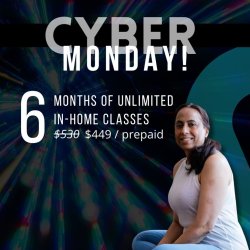 SALE! Cyber Monday - 6-Month Unlimited (In-Home)