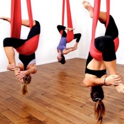 Aerial Yoga Workshop