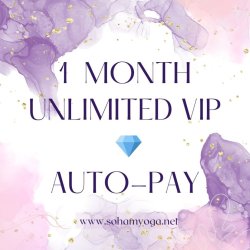 VIP Unlimited Autopay $145
