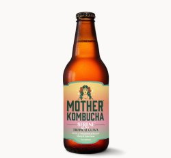 Kombucha 12 oz Bottle