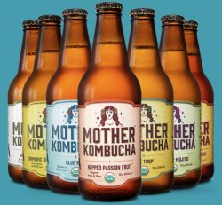 Kombucha 12 oz Bottle