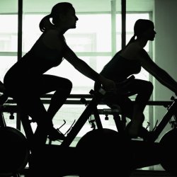 Basic Membership Monthly Unlimited Spin Package