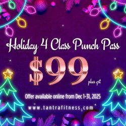 Holiday 4 Class Punch Card