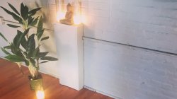 Breath and Spine Wake-Up