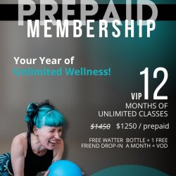 SALE! 12-Month VIP Membership (Prepaid)