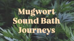 Mugwort Sound Bath Journey