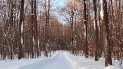 Spring Retreat: Sweat & Soothe - Saturday, April 26th 2026