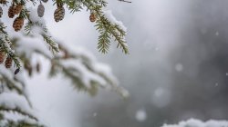 Livestream - Continuum: A Moving Meditation - Fall Series