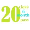 20 class 6 month pass
