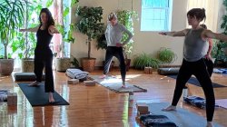 6-Week Continuing Beginner Series - Steady Warriors, Somatic Yoga Postures for Courage (Δ)