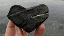 Living Your Heart's Desire: An iRest® Series