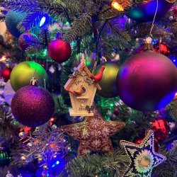 Christmas 2025 Special