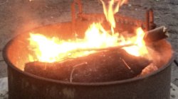 Harness Digestive Fire: Ayurveda & Asana to Support Seasonal Change