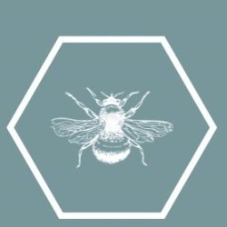 Unlimited Intro Session