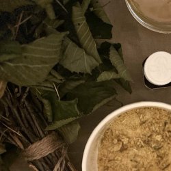 Forest Fire: A New Year Reset Ritual