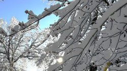 Virtual Settling in for a Long Winter's Nap