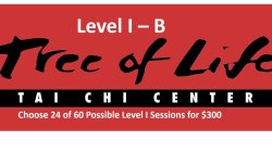 Level I-B Tai Chi   - TWICE  per Week - 2026 WINTER