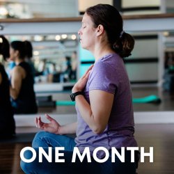 Unlimited | 1-Month Pass (30days)