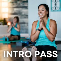 Introductory Pass– 2 Weeks Unlimited