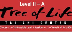 Level II-A Tai Chi Level I &  II - ONCE a Week - 2026 WINTER