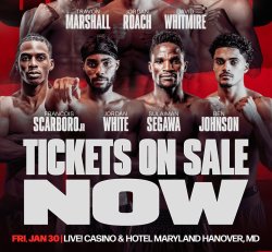 Sulaiman Segawa VS Rene Osvaldo Palacios Gavan. January 30th, 2026.