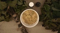 Forest Fire: A New Year Reset Ritual (7 pm)