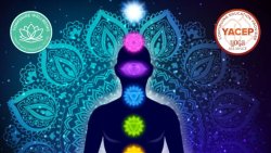 Transformational Healing Journey Through the Chakras with James - ONLINE COURSE