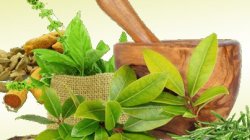 Ayurvedic Approach to Preventive Health