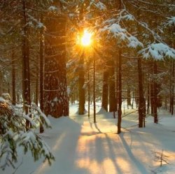 20 Class Package Solstice Special