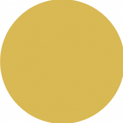 Gold Package-$500