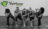 Yoga Monkey & Fitness