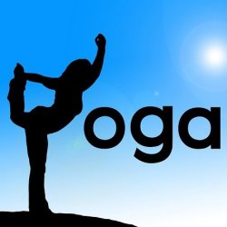 Private Yoga, 1 Person (1 Hour)