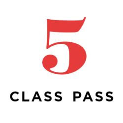 5 class pass