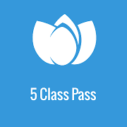 5 Class Package