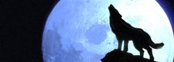 Howl At The Moon